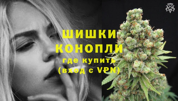 apvp Осинники